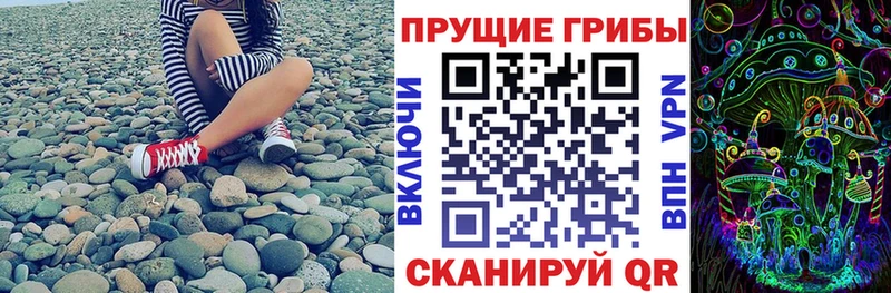 Галлюциногенные грибы прущие грибы  Неман 