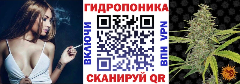 сколько стоит  Неман  Бошки марихуана Amnesia 
